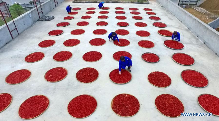 CHINA-JIANGXI-FENGXIN-RURAL ENTREPRENEURSHIP STORY