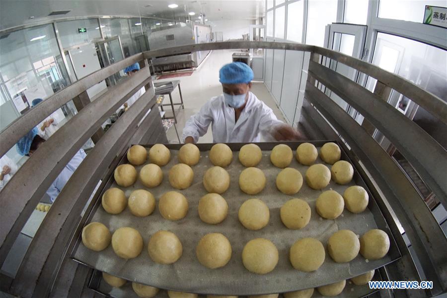 #CHINA-HEBEI-FOOD PROCESSING (CN)