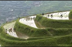 加大自然生態系統和環境保護力度