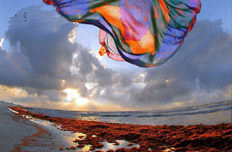 攝影師鏡頭下的美麗中國