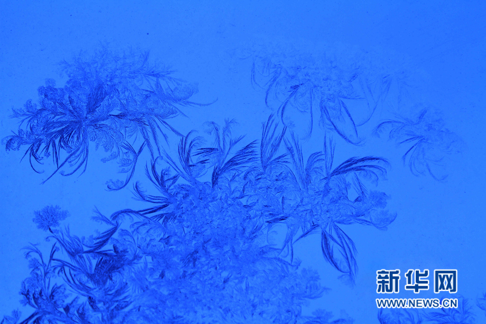 忽如一夜寒冬來，千家萬戶窗花開