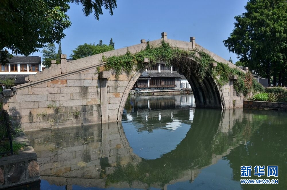 江南橋鄉金澤掠影