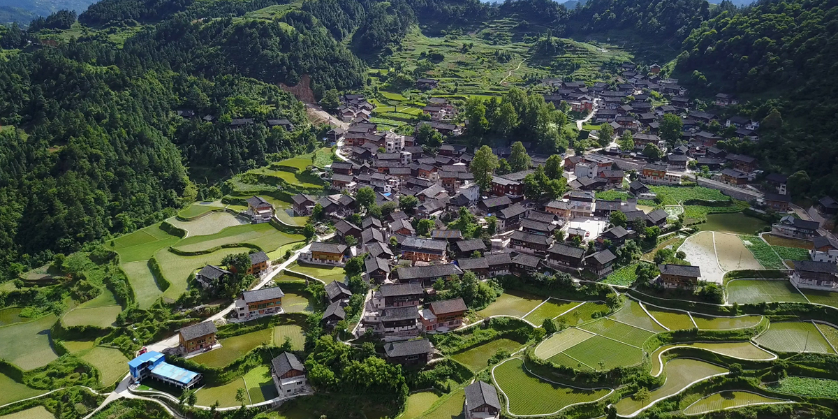 龍塘村全景圖