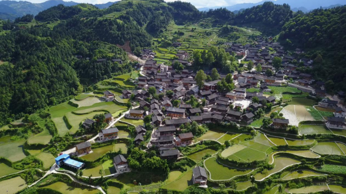 從貧困村到示范村，結對幫扶的“龍塘樣本”是如何煉成的