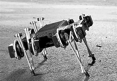 可愛(ài)機(jī)器人 體型靈巧如小狗 能開(kāi)門(mén)翻圍墻