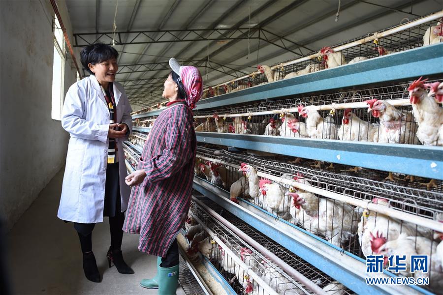 （十九大代表回基層·圖文互動）（1）擺脫貧困后，還應有更高的精神追求——十九大代表余留芬的“宣講時光”