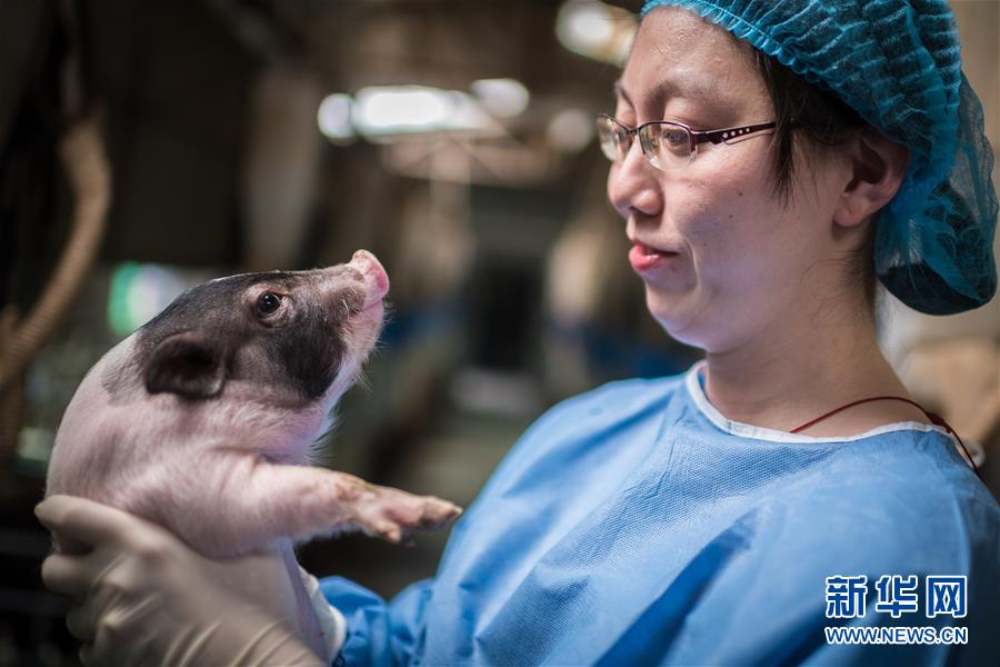 （鏡觀中國&middot;新華網(wǎng)）（13）新華社國內(nèi)照片一周精選