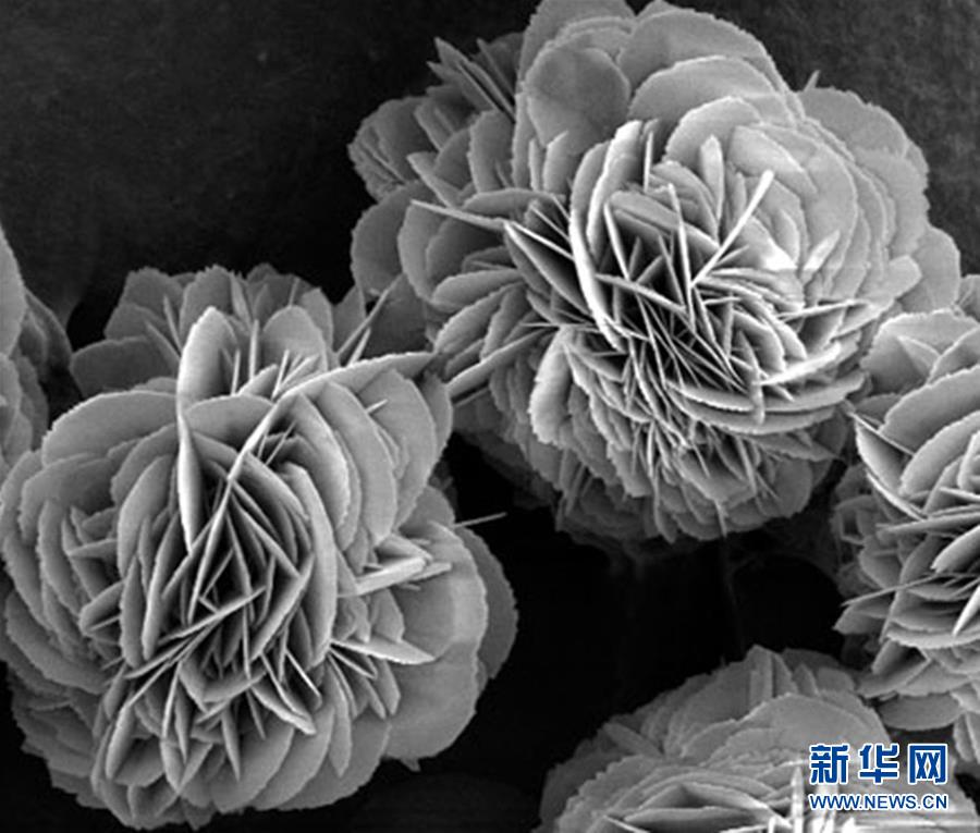 (新時代奮斗者·圖文互動)(3)“美麗發(fā)現(xiàn)”之路——記青年化學(xué)家戈鈞