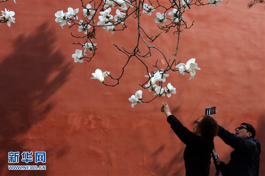 （在習(xí)近平新時代中國特色社會主義思想指引下&mdash;&mdash;新時代新氣象新作為&middot;新華全媒頭條&middot;圖文互動）（1）最濃是這中國紅&mdash;&mdash;北京市西城區(qū)弘揚紅墻意識深化改革發(fā)展紀(jì)實
