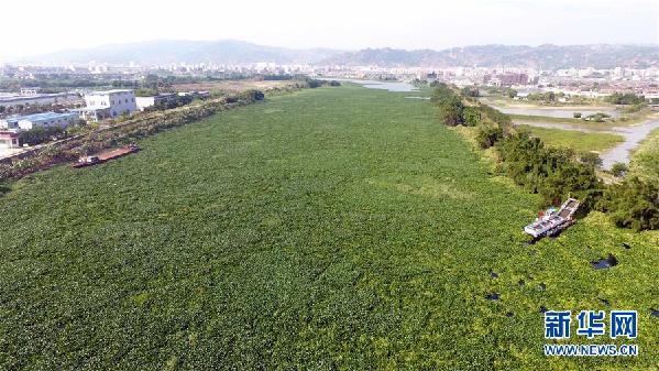 （圖文互動）（1）“白練”變“黑龍”，江河變“草原”－－粵東母親河為何污染20多年難治理？
