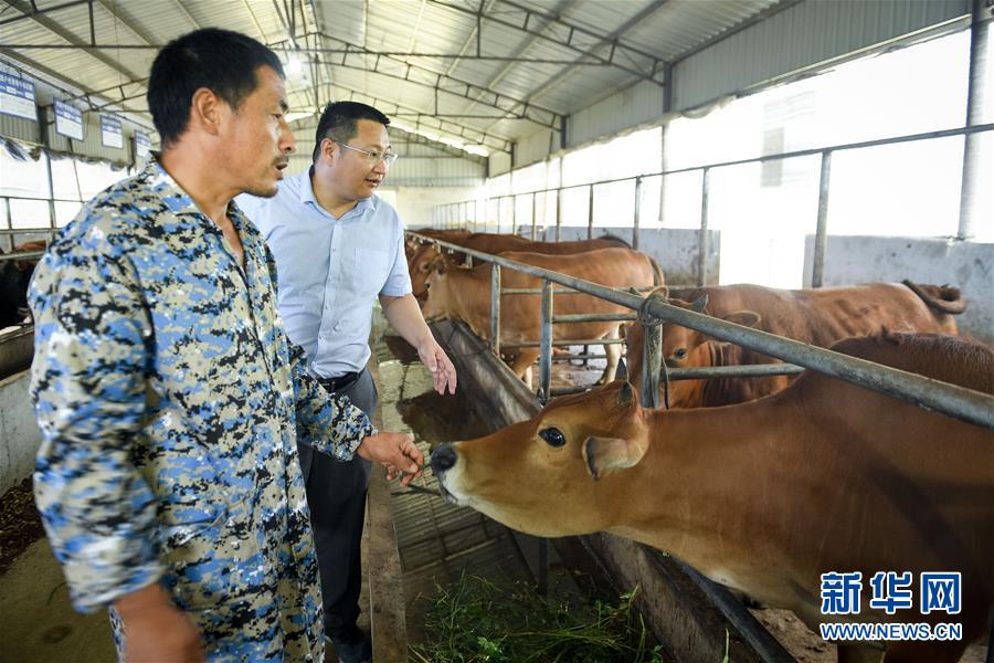 (脫貧攻堅(jiān)·圖文互動(dòng))(2)“不畏難、不畏煩、不畏苦”——記“80后”扶貧干部李朝陽(yáng)