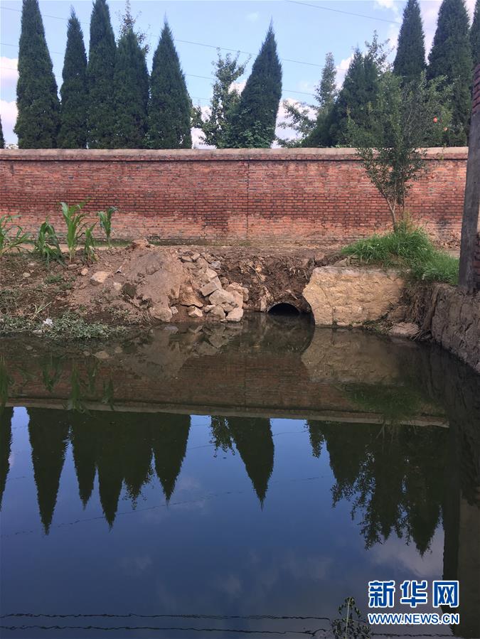 (新華視點(diǎn)·圖文互動(dòng))(3)上游洪水來襲下游魚蟹死亡,泄洪為何變泄污?