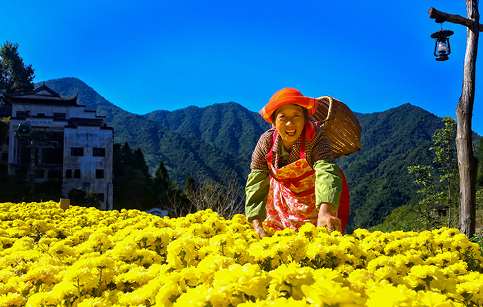 秋收的中國,你想象不到的美!但更美的是……