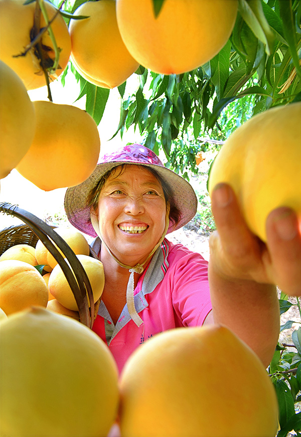 秋收的中國,你想象不到的美!但更美的是……