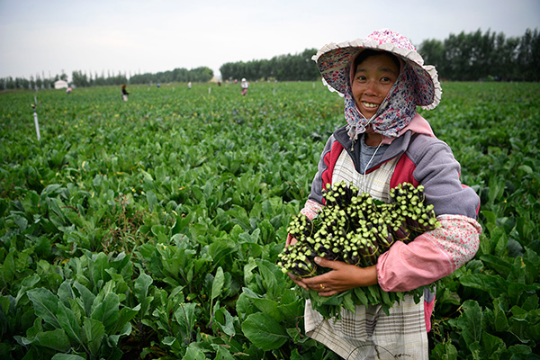 秋收的中國,你想象不到的美!但更美的是……