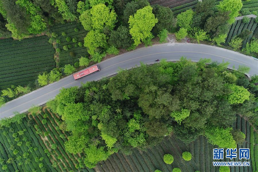 （新華全媒頭條&middot;圖文互動）（6）希望灑在金色田野&mdash;&mdash;寫在鄉村振興戰略實施一周年之際