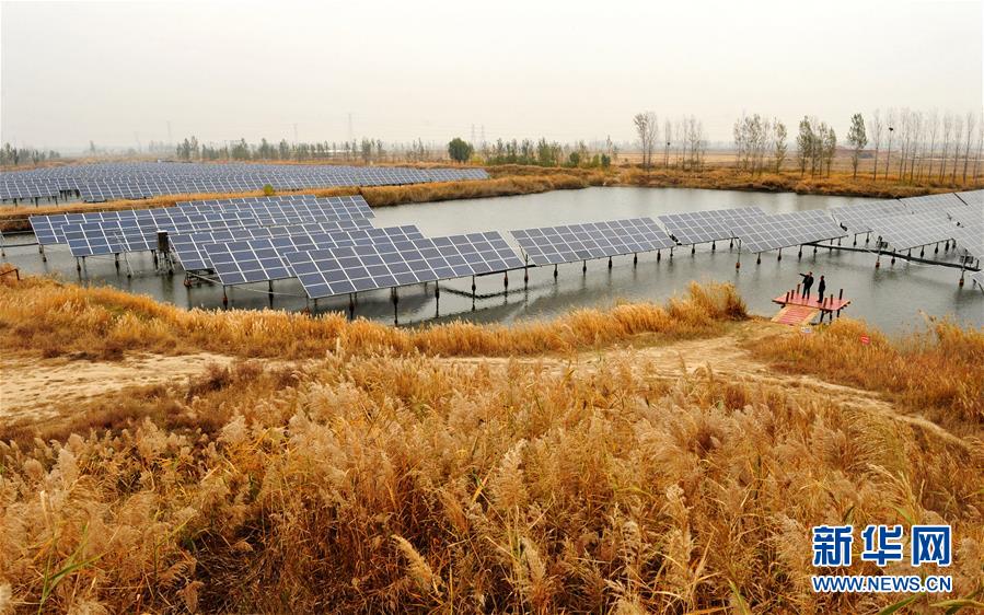 #（社會）河北南皮：&ldquo;漁光互補&rdquo;光伏電站鋪就綠色扶貧路