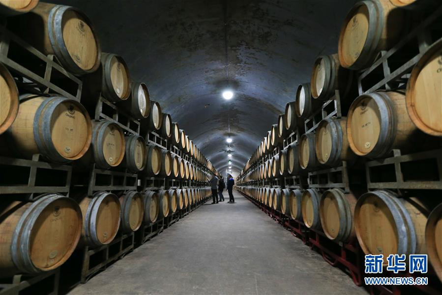 （百城百縣百企調研行·圖文互動）（7）“藍鯨1號”從這里駛出——山東煙臺崛起制造業高地