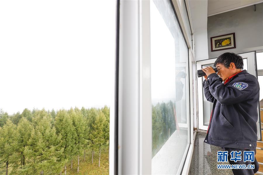 (新華全媒頭條·圖文互動(dòng))(3)那一抹綠色,走進(jìn)越來(lái)越多人心里——河北塞罕壩續(xù)寫(xiě)新時(shí)代綠色傳奇