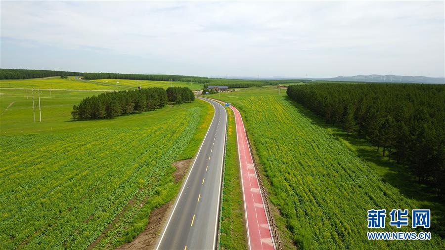 (新華全媒頭條·圖文互動(dòng))(4)那一抹綠色,走進(jìn)越來(lái)越多人心里——河北塞罕壩續(xù)寫(xiě)新時(shí)代綠色傳奇