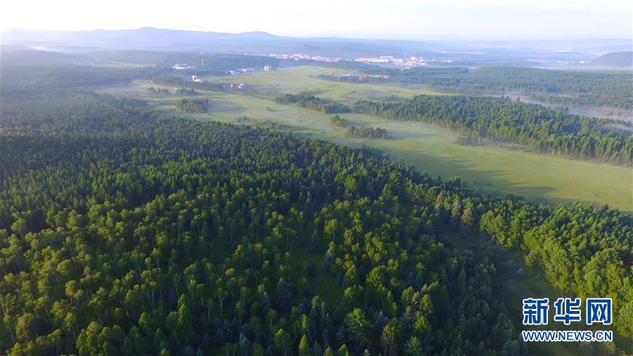 (新華全媒頭條·圖文互動(dòng))(5)那一抹綠色,走進(jìn)越來(lái)越多人心里——河北塞罕壩續(xù)寫(xiě)新時(shí)代綠色傳奇