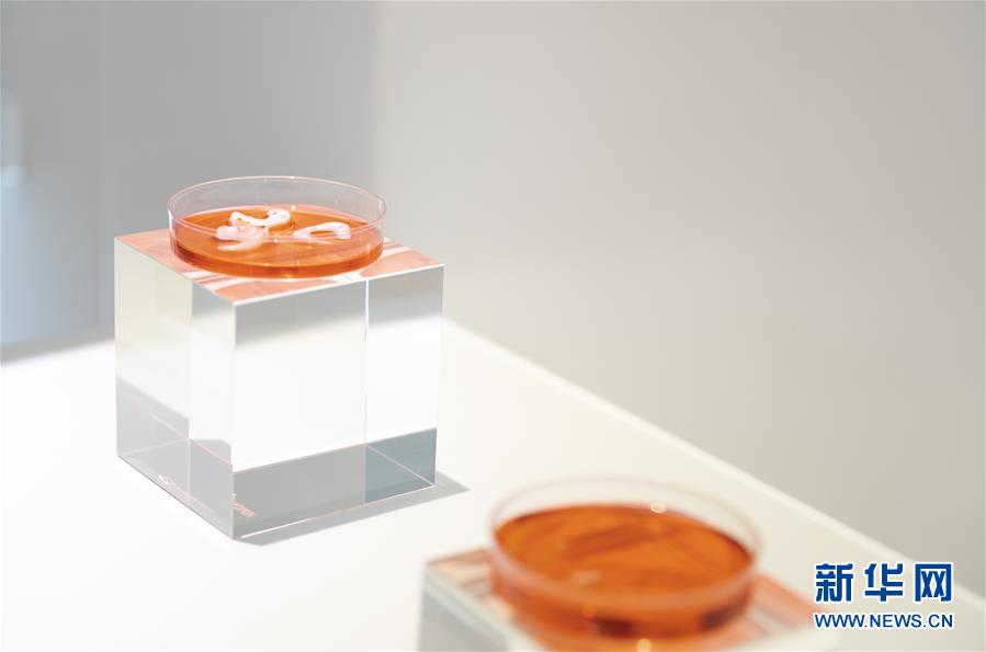 (兩會前夕看落實·圖文互動)(4)“三個第一”催奮進 珠江潮起再出發——廣東落實習近平總書記全國兩會重要講話精神紀實