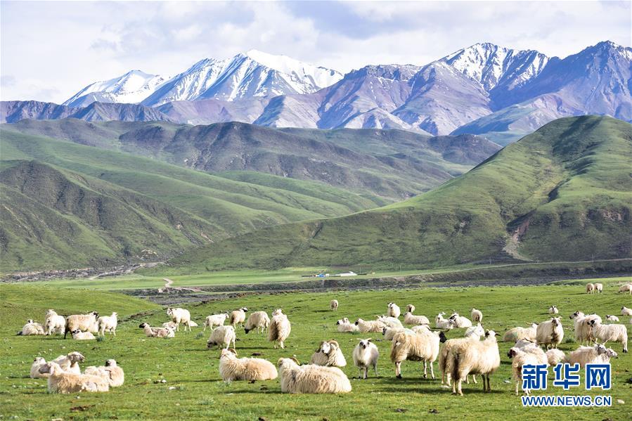 (兩會前夕看落實·圖文互動)(1)以“一優兩高”戰略描繪三江源壯美畫卷——青海落實習近平總書記全國兩會重要講話精神紀實