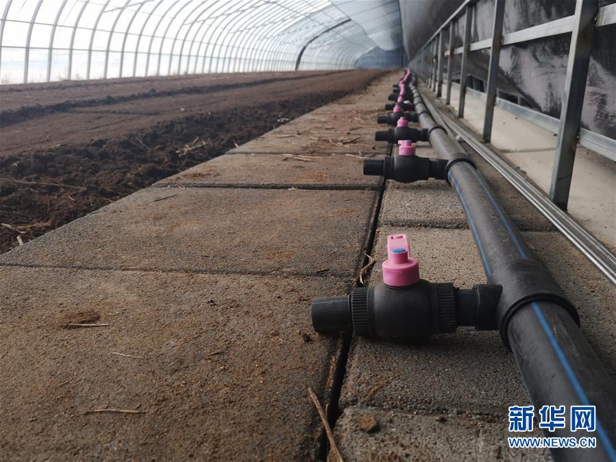 （在習近平新時代中國特色社會主義思想指引下&mdash;&mdash;新時代新作為新篇章&middot;圖文互動）（3）黑土地上感受&ldquo;中國飯碗&rdquo;新變化