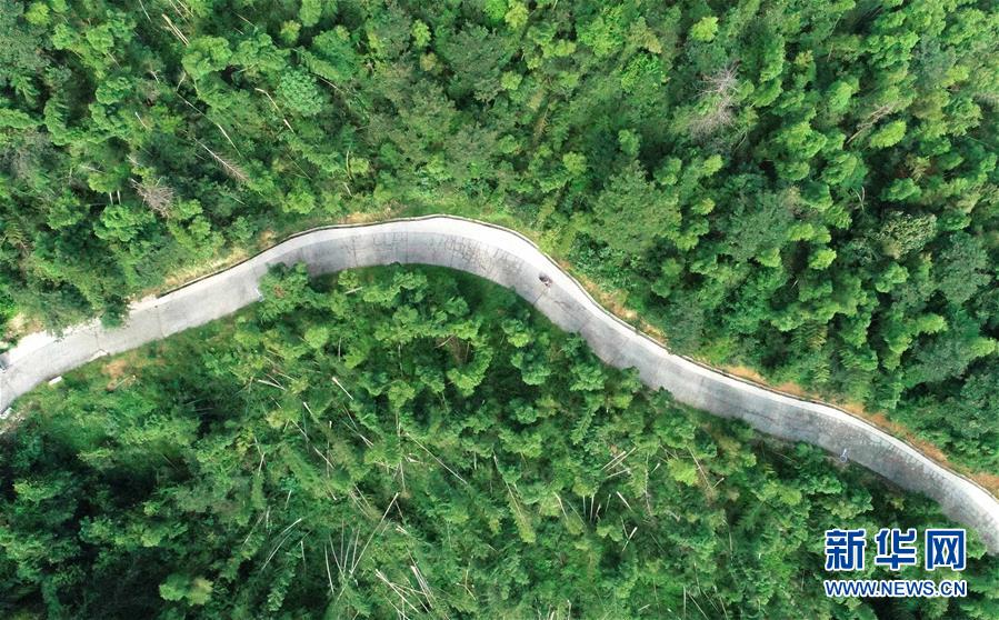 （中國網事·感動2019·圖文互動）（7）鄉村教師高自仁：60多根拐杖，撐起42年教學路
