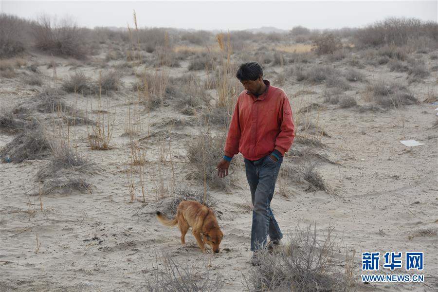 (圖文互動)(3)海子里的牧羊人見證中國最長內陸河生態變遷