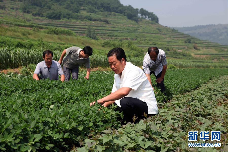 （新華全媒頭條&middot;圖文互動）（1）讓奮斗成為人生最亮麗的底色&mdash;&mdash;寫在2019年&ldquo;五一&rdquo;國際勞動節到來之際