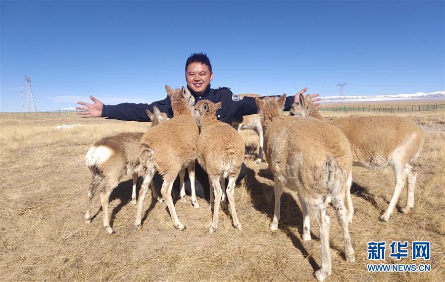 (愛國情 奮斗者)(1)藏族巡山隊(duì)員龍周才加:把青春留在可可西里