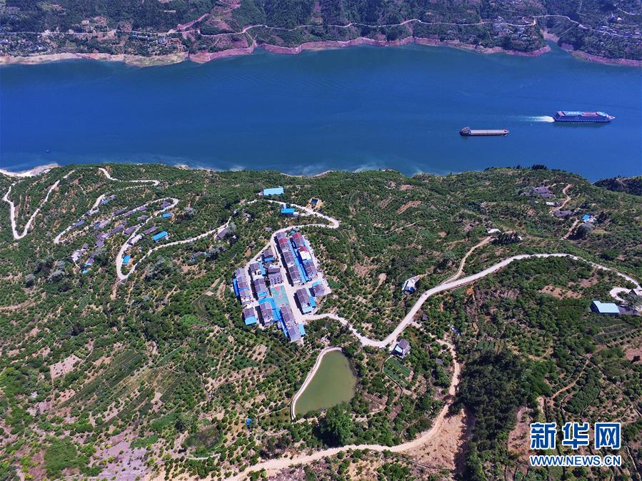 （在習(xí)近平新時代中國特色社會主義思想指引下&mdash;&mdash;新時代新作為新篇章）（2）重慶巫山：&ldquo;生態(tài)寶貝&rdquo;變身&ldquo;搖錢樹&rdquo;