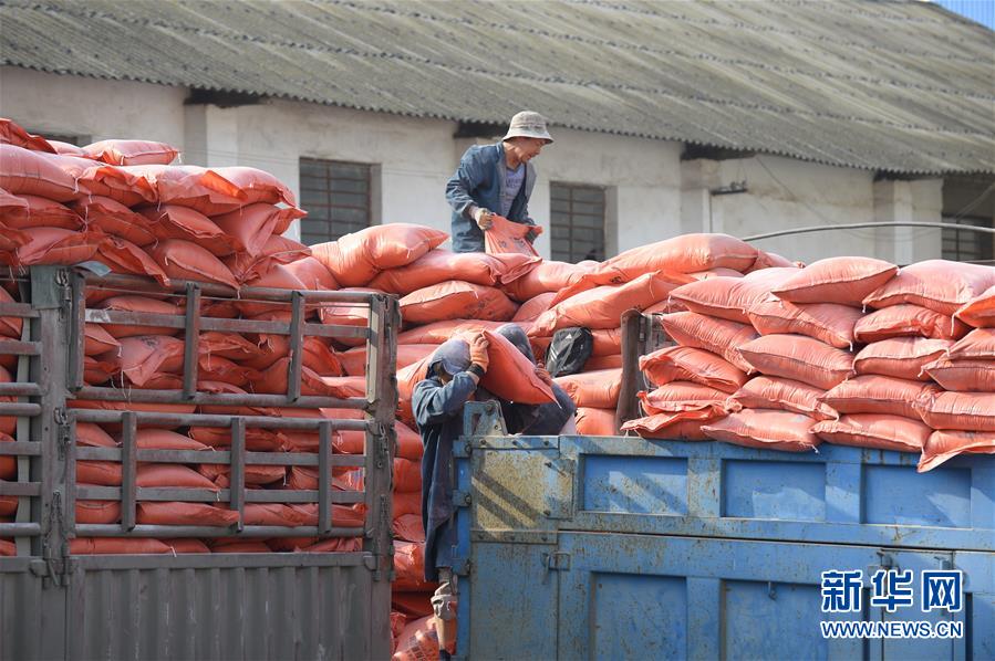 （在習(xí)近平新時(shí)代中國(guó)特色社會(huì)主義思想指引下&mdash;&mdash;新時(shí)代新作為新篇章&middot;圖文互動(dòng)）（1）云南省陸良縣：農(nóng)民給供銷(xiāo)社打&ldquo;白條&rdquo; 