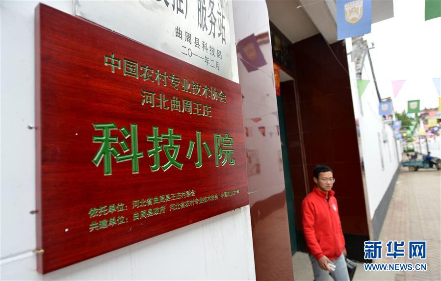 （新華全媒頭條&middot;愛國情 奮斗者&middot;圖文互動(dòng)）（11）把論文寫在祖國的大地上&mdash;&mdash;中國農(nóng)業(yè)大學(xué)46年扎根河北曲周服務(wù)鄉(xiāng)村振興紀(jì)實(shí)