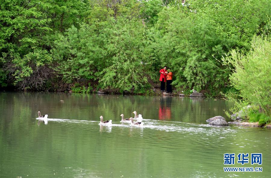 （在習近平新時代中國特色社會主義思想指引下&mdash;&mdash;新時代新作為新篇章&middot;圖文互動）（4）在這里，遇見&ldquo;詩和遠方&rdquo;&mdash;&mdash;長白山下&ldquo;第一鎮&rdquo;的全域旅游實踐