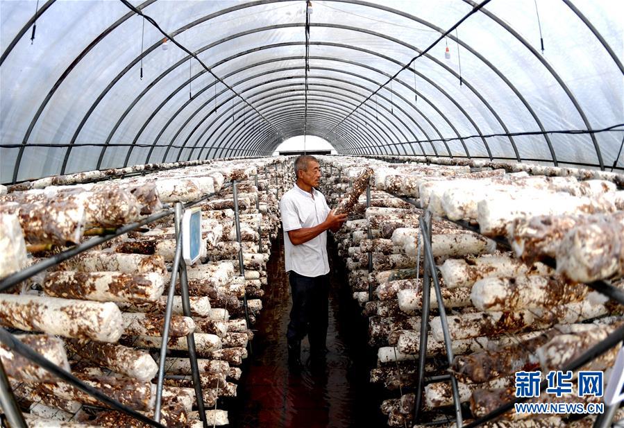 （新華全媒頭條&middot;圖文互動）（10）一個傳統農業縣的脫貧之路&mdash;&mdash;來自河北新河的調查報告