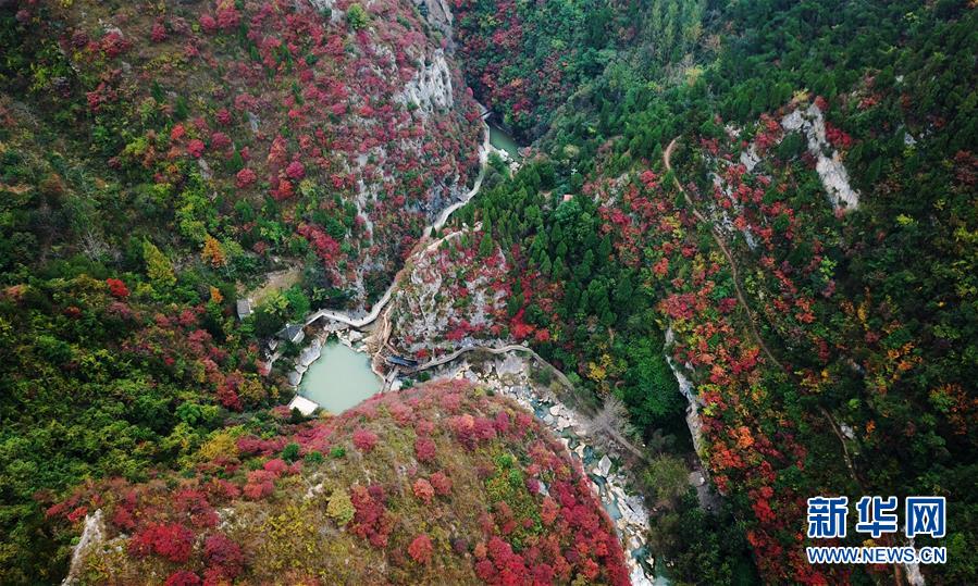 (壯麗70年·奮斗新時代——共和國發(fā)展成就巡禮·圖文互動)(2)以“綠色”身姿站上發(fā)展前沿——甘肅綠色轉型發(fā)展紀實
