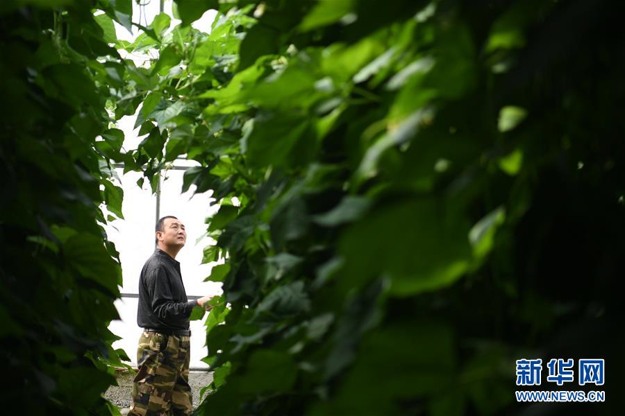 (壯麗70年·奮斗新時代——共和國發(fā)展成就巡禮·圖文互動)(7)以“綠色”身姿站上發(fā)展前沿——甘肅綠色轉型發(fā)展紀實