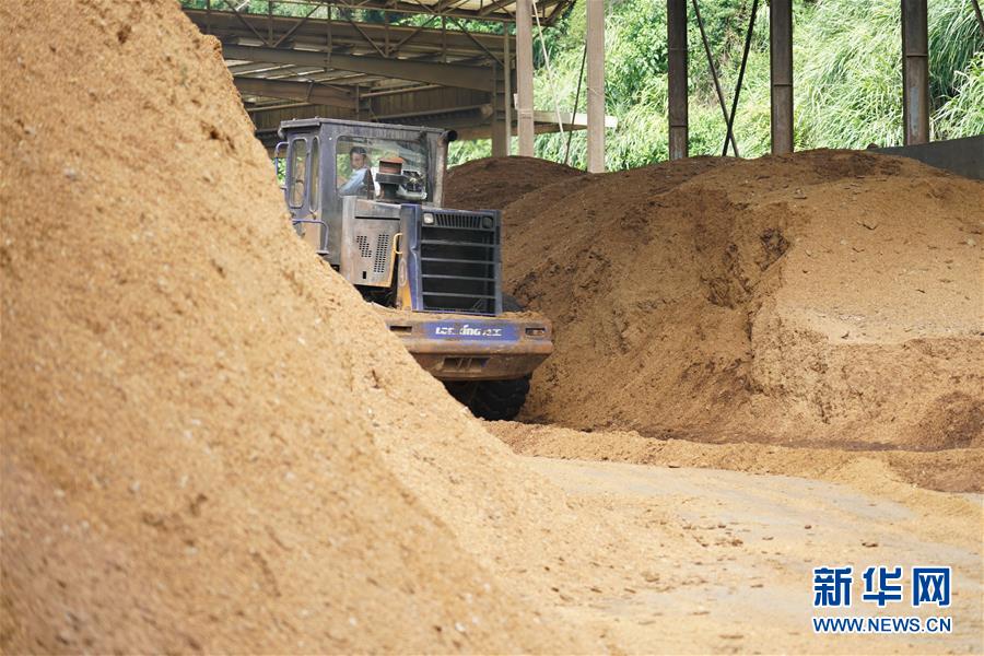 （在習(xí)近平新時(shí)代中國特色社會(huì)主義思想指引下&mdash;&mdash;新時(shí)代新作為新篇章&middot;總書記關(guān)心的百姓身邊事&middot;圖文互動(dòng)）（4）大污染變身&ldquo;大寶藏&rdquo;：治理畜禽糞污，他們這樣干！