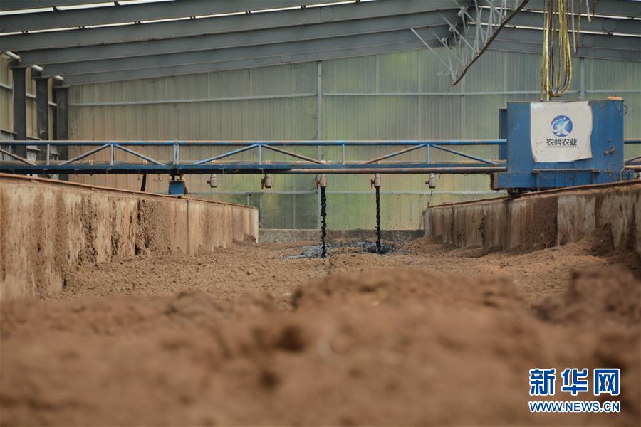 （在習(xí)近平新時(shí)代中國特色社會(huì)主義思想指引下&mdash;&mdash;新時(shí)代新作為新篇章&middot;總書記關(guān)心的百姓身邊事&middot;圖文互動(dòng)）（5）大污染變身&ldquo;大寶藏&rdquo;：治理畜禽糞污，他們這樣干！