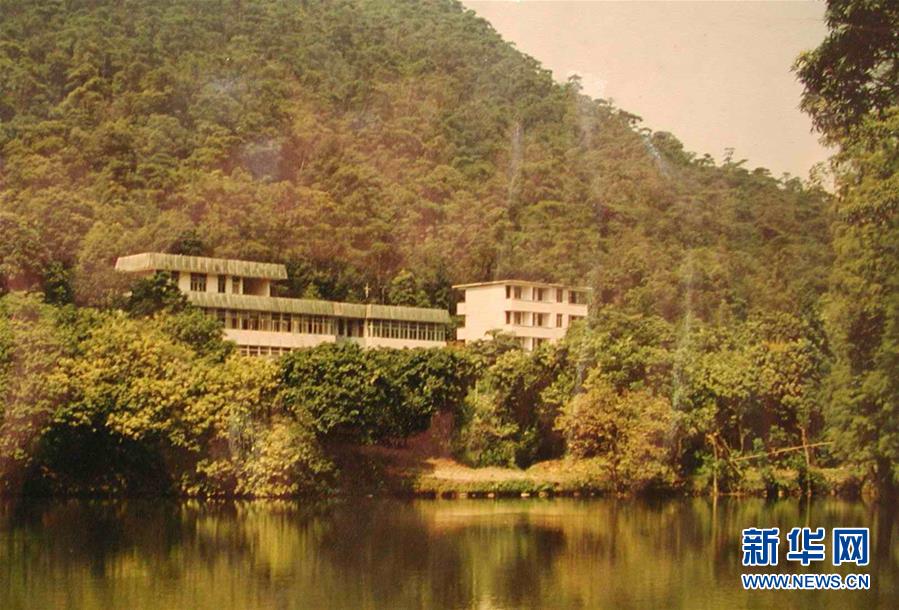 (圖文互動)(4)科學接續保護 守住生態紅線——探訪“北回歸沙漠帶上的綠色明珠”