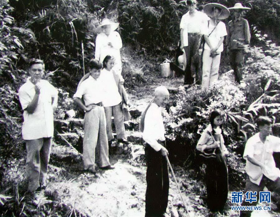 (圖文互動)(5)科學接續保護 守住生態紅線——探訪“北回歸沙漠帶上的綠色明珠”