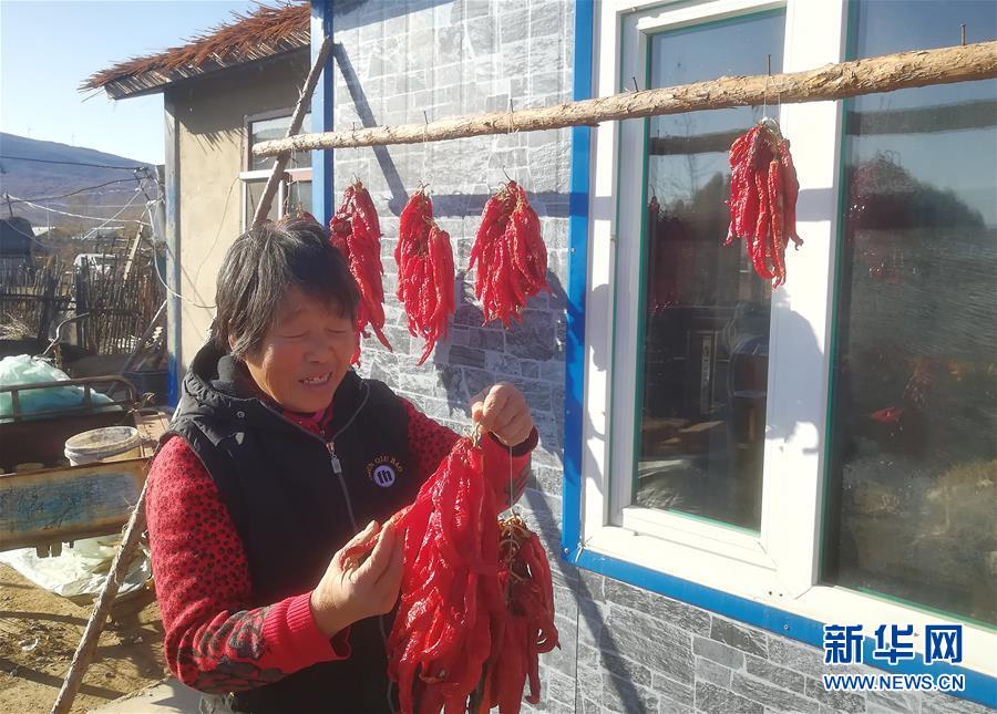 (在習近平新時代中國特色社會主義思想指引下——新時代新作為新篇章·總書記關心的百姓身邊事·圖文互動)(3)一個貧困山村的振興新動能——小故事里的大情懷之五