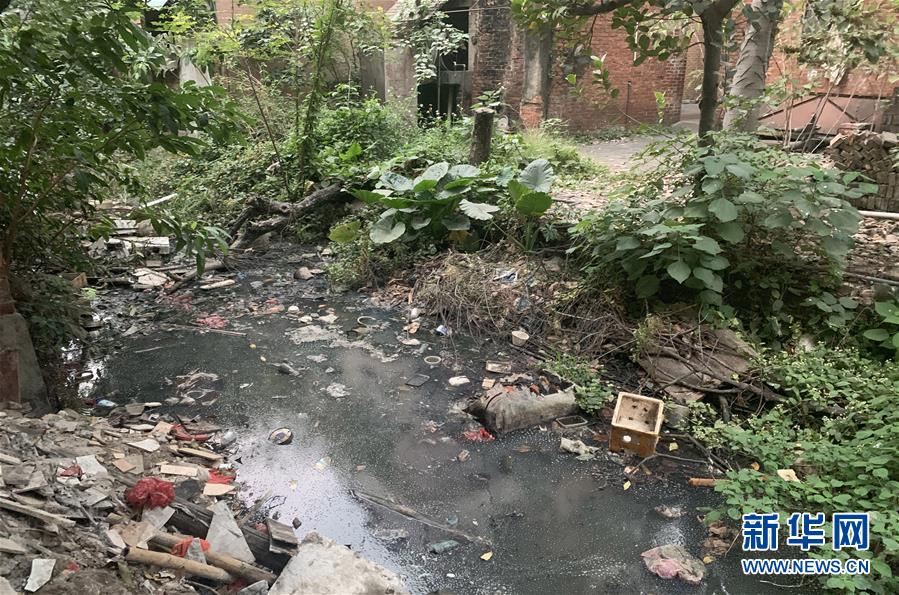 （圖文互動）（1）河長職責寫得明明白白，條條舉措無一落實&mdash;&mdash;國務院檢查組暗訪核查佛山一農村河涌黑臭十余年無人管理