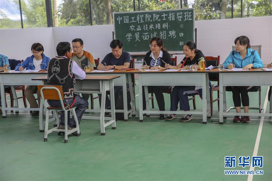 (新華全媒頭條·時代先鋒·圖文互動)(4)“要把論文寫在大地上”——記“農民院士”朱有勇