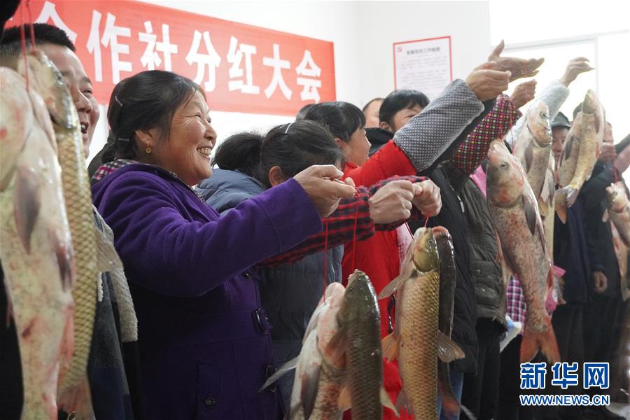 (新春走基層·圖文互動)(3)“空殼村”分紅啦!