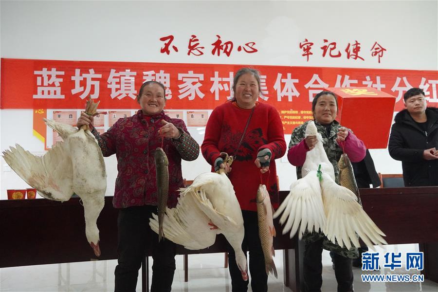 (新春走基層·圖文互動)(4)“空殼村”分紅啦!