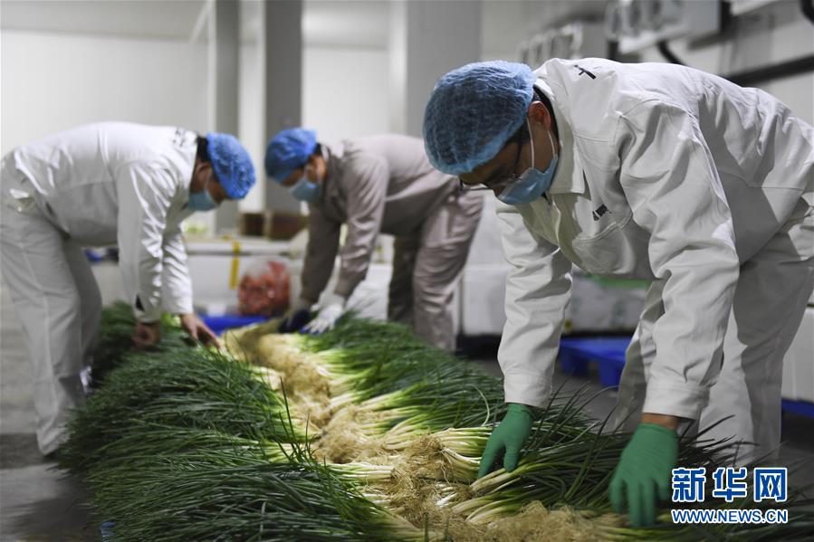 （圖文互動）（6）“早一天復(fù)工，損失就少一點”——廣西以精準(zhǔn)防控推動復(fù)工復(fù)產(chǎn)一線見聞