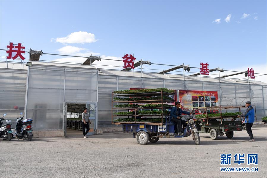 （決戰(zhàn)決勝脫貧攻堅(jiān)&middot;圖文互動(dòng)）（9）決戰(zhàn)昆侖&mdash;&mdash;新疆聚焦10個(gè)未摘帽縣展開深度貧困攻堅(jiān)戰(zhàn) 